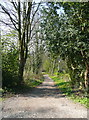 Byway northwards from Allums Lane, Arthington