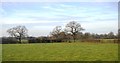 Cheshire farmland