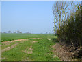 Footpath to Stambourne Green