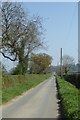 Moor Lane towards Bilbrough