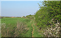 Footpath near Highlands, Rawreth