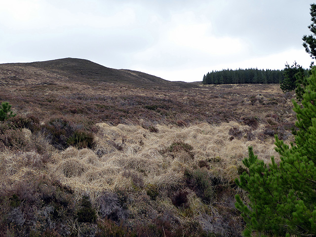 Looking towards the summit of Cnoc nam Bo Riabhach