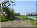 TL6939 : Farm track off Eggshell Lane by Robin Webster