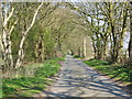 Sand Lane near Carr Tongue