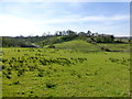 Knocknahorn Townland