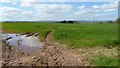 Arable field to the east of Hollybush