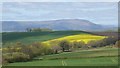 View to Blorengefrom near Raglan