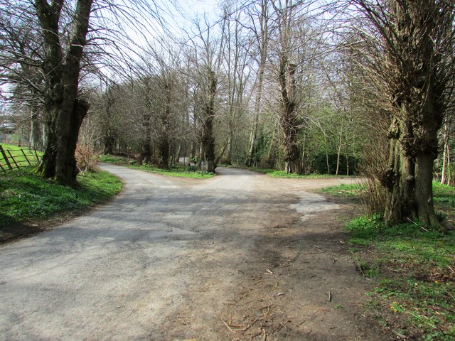 Path junction on Falkland Estate