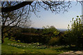 TQ4551 : Chartwell: in the gardens, looking south into the Weald by Christopher Hilton