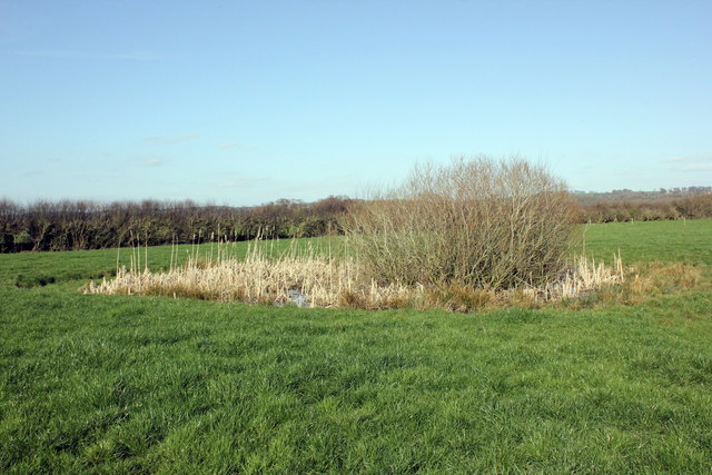 Pond on Tiverton Farm