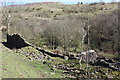 Ruin of Rank Sir Henry - north east end