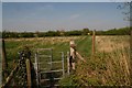 Footpath from Dunston to Nocton Wood