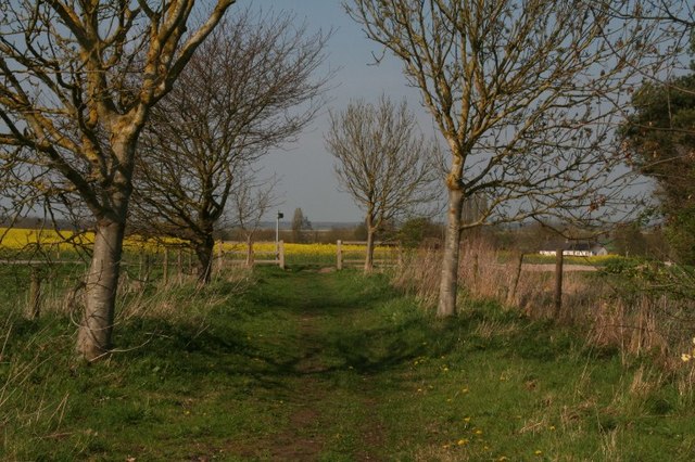 Bridleway from Green Lane to Wasps Nest (3)