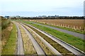 TL4166 : Guided busway & National Cycle Route 51 by N Chadwick