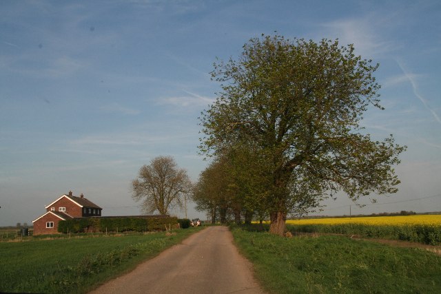 House and trees on Metheringham Fen Lane (2)
