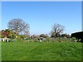 Allotments, Henfield