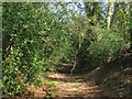 Footpath to Park Farm