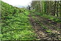 SP6147 : Wooded track going south by Philip Jeffrey