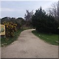 Entrance to Culbin Sands