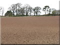 NN9317 : Ploughed field near Kinkell Bridge by M J Richardson