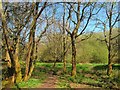 Public Footpath, Broadmere Common