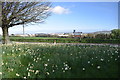 View from the gateway of Antony House