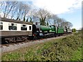 Raveningham Hall brings a train into Dunster