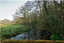SS7203 : Looking down the River Yeo from Tuckingmill Bridge by Roger A Smith