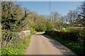 Hayne Bridge on the River Yeo