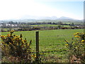 Farmland south of the boundary path of the Castlewellan Castle Demesne