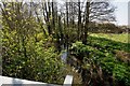 Looking up the River Yeo from Bow Bridge