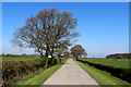 Access Track leading towards the A64