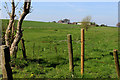 View towards Scholes Park