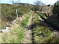 Lane above the field barn