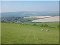 View of Burpham from Perry Hill