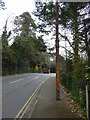 Western Road and an ornate upright pole