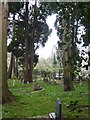 Graves around All Saints church