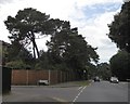 Junction of Haven Road and Chaddesley Pines