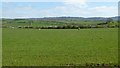 Farmland near Pencarreg Farm