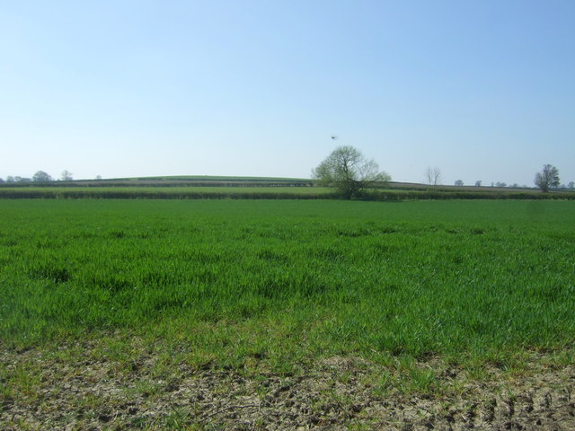 Crop field near Huddington Hill Farm