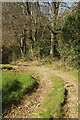 SX7163 : Path approaching Moorshead Brook by Derek Harper
