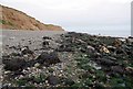 NX4601 : Rocks and Seaweed by Glyn Baker