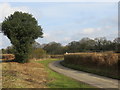 Back lane at Clanville