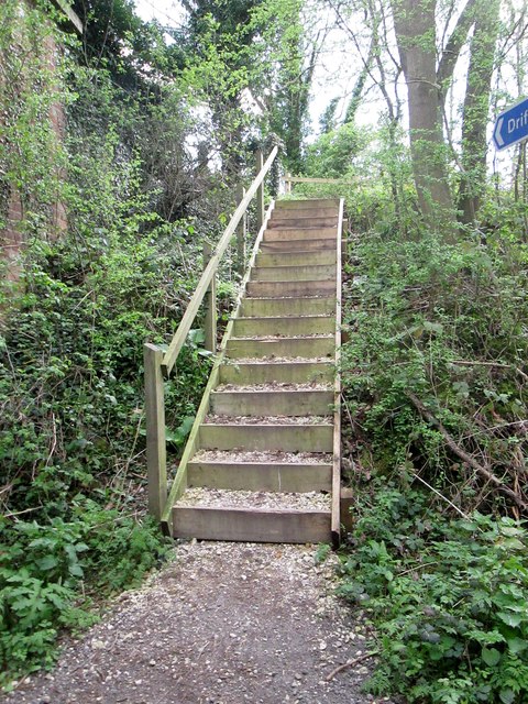 Steps  up  from  rail  trail