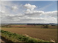 Farmland near Fifebanks