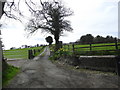Farm road to Cefn Mawr