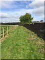 Permissive Footpath to Newark Park