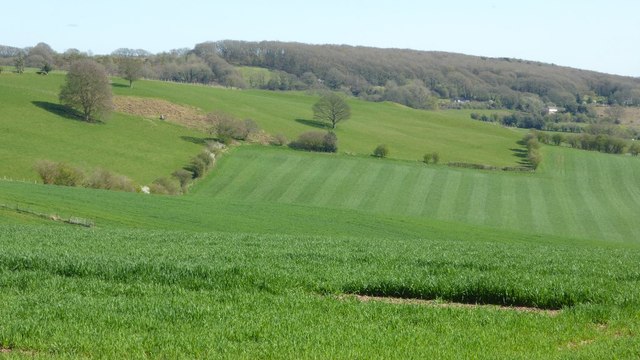 Farmland near Llanishen