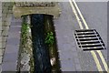 Beer: Culvert in Fore Street