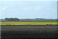 Fields in New Cut Lane, Halsall